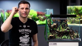 HOW TO BUILD A LOW BUDGET PLANTED TANK [upl. by Akihsan]