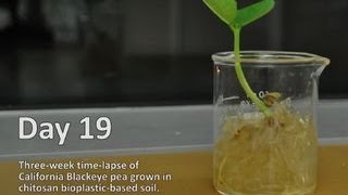 Bioplastics in action Time lapse video [upl. by Dulcine]