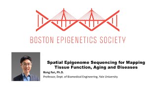 Boston Epigenetics Society BES Meeting March 2024  Rong Fan Yale University [upl. by Orgel]