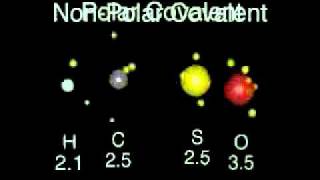 Enlaces iónico covalente polar y apolar [upl. by Monah]