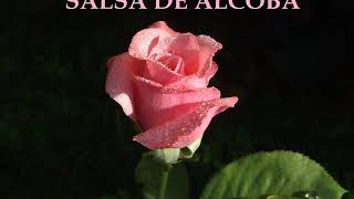 SALSA DE ALCOBA ROMANTICA GRANDES EXITOS2020 [upl. by Ehling]