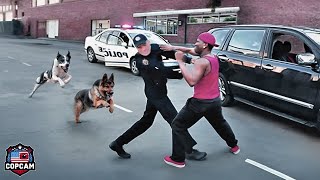 MOST CRAZY Police Dog Chase of All Time Dont Ever Run From a Police Dog [upl. by Nogas]