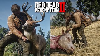 RDR 2  Satisfying SKINNING All Animals PART1 Physics amp Details [upl. by Llewen]