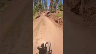 Dodge Ridge mountain biking [upl. by Downs]