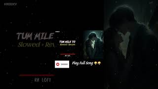 Tum Mile To  Lofi Song  RH LOFI  love sad music song lofi shorts reels rh hindisong [upl. by Whyte]