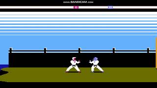 NES Karateka HACK Ali [upl. by Dulcinea733]