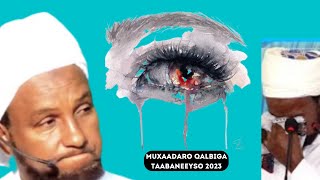 Muxaadaro Qalbiga Taabaneeyso 2023  Sheekh Xuseen Cali Jabuuti [upl. by Oniuqa]