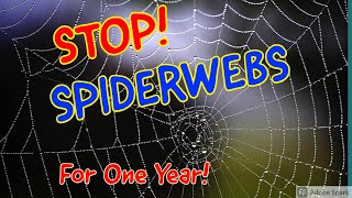 Stop Spiderwebs Prevent spiders from making spiderwebs around your home for up to 12 months [upl. by Kyred559]