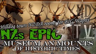 FIORDLAND WAPITI Heaven HD Tours NZs Largest Wapiti [upl. by Iline]