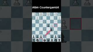 The Albin Countergambit is OP chess learnchesstrapin30seconds chessstrategy chessopening [upl. by Ayana]