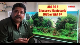 HOW Glosso Vs Montecarlo Carpet Plants growing in ADA90P Planted Aquarium  Growing Aquarium Plants [upl. by Ilyah]