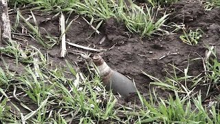 Farmers in east Ukraine call experts to clear mines from fields [upl. by Ztnarf]