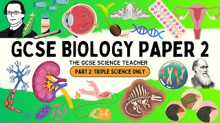 ALL of GCSE Biology Paper 2 Part 2  Triple Science only topics [upl. by Dona]