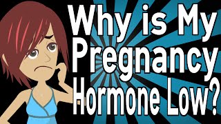 Why is My Pregnancy Hormone Low [upl. by Ania59]