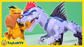 Jurassic World Toys Indominus Rex vs Velociraptor Mash Pack [upl. by Anear134]