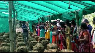 Mushroom Cultivation under Shadenet amp Fogger Irrigation SystemWSHG members Training NAFCC Projrct [upl. by Aicener521]