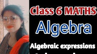 Algebra  Class 6 Maths Algebra  Algebraic Expressions  Chalo learn karte hai [upl. by Inol]