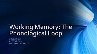 Cognition 4 4 Working Memory The Phonological Loop [upl. by Eiramllij]