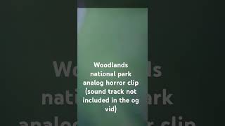 woodlands national park analog horror clip analoghorror woodlandsnationalpark [upl. by Joelly648]