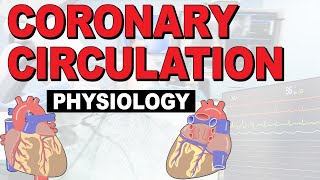 What is the PHYSIOLOGY of the coronary circulation [upl. by Tammara]