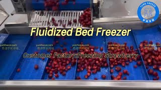 Fluidized Bed Freezers with Strawberries [upl. by Ahsele560]