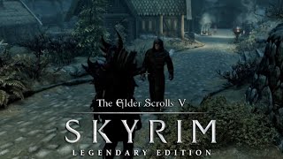 Skyrim  Traveler Random Encounters Legendary [upl. by Brotherson]