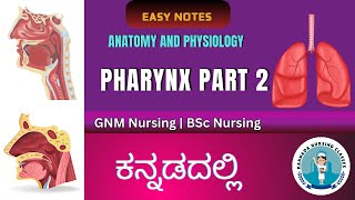 Anatomy And Physiology Of Pharynx Part 2  Respiratory System  Kannada Nursing Classes [upl. by Hatti]