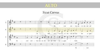 Sicut Cervus Palestrina ALTO part [upl. by Patten]