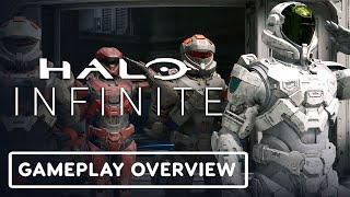 Halo Infinite  Official Competitive Settings Overview [upl. by Anattar661]