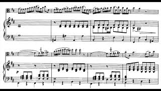 Hoffmeister  Viola Concerto in D 1st Mov piano accompaniment [upl. by Llecram307]