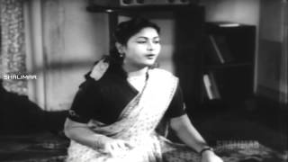 Raaga Sudhaa Rasa Video Song  Missamma Movie  NTR ANR SVR Savitri Jamuna [upl. by Akeemahs]