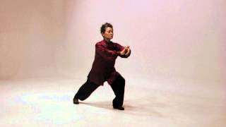 Simplified 24 Tai Chi routine [upl. by Renmus]