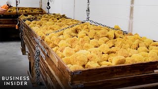 How Americas Largest Natural Sponge Processor Cleans 1 Million Sponges A Year  Business Insider [upl. by Adnawad298]