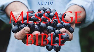 The Book of John  Message Bible English  Holy Bible FULL With Scrolling Text  Audio version [upl. by Jenette87]