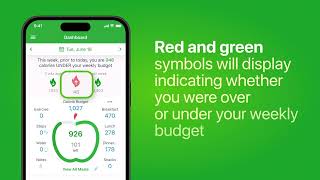 MyNetDiary Howto Dashboard Pulldown Statistics [upl. by Amme]