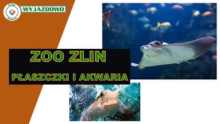 ZOO ZLIN  Płaszczki i Akwaria [upl. by Rann]