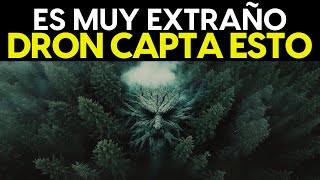 El Bosque Que Estuvo CONGELADO En El Tiempo Por Más De 100000 Años Por Fin Ha Sido Descubierto [upl. by Gunter]