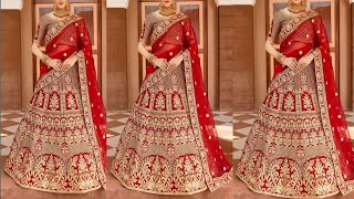 Stylish Lehenga Designer [upl. by Ecnarwal7]