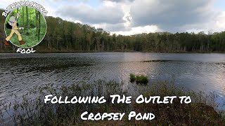 Following the Outlet to Cropsey Pond  Birdathon 2022  Pepperbox Wilderness [upl. by Leroy36]