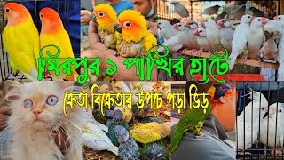 প্রচুর পরিমাণে পাখি এসেছে মিরপুর ১ পাখির হাটে  Mirpur 1 pakhir hat [upl. by Negem49]