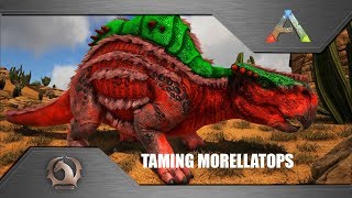 Ark Survival Evolved  Taming Morellatops [upl. by Ylrebmek]