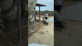 Pouring some flatwork on a dairy farm concrete concretework trending shorts viralshorts short [upl. by Mall]