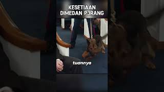 KESETIAAN TERAKHIR DIMEDAN P3RANG [upl. by Inalaehon]