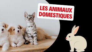 Les Animaux Domestiques de France [upl. by Primaveria17]