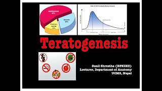 Teratogenesis Anatomy Shortcut channel [upl. by Calder723]