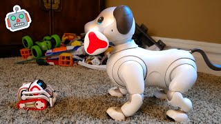 Cozmo Meets Aibo Robot Dog [upl. by Lyle99]