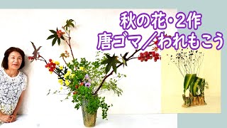 秋の花・2作大小いける（唐ゴマやワレモコウ）オシャレな小品もSogetsu Ikebana [upl. by Kreiner]