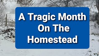 A Tragic Month On The Homestead [upl. by Sven]