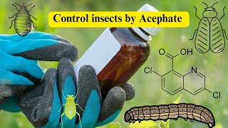 Acephate Insecticides Effective Pest Control Solutions in cotton fruits and vegetables [upl. by Ydennek]