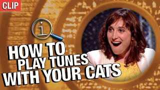 How To Play Tunes With Your Cats  QI [upl. by Meador]